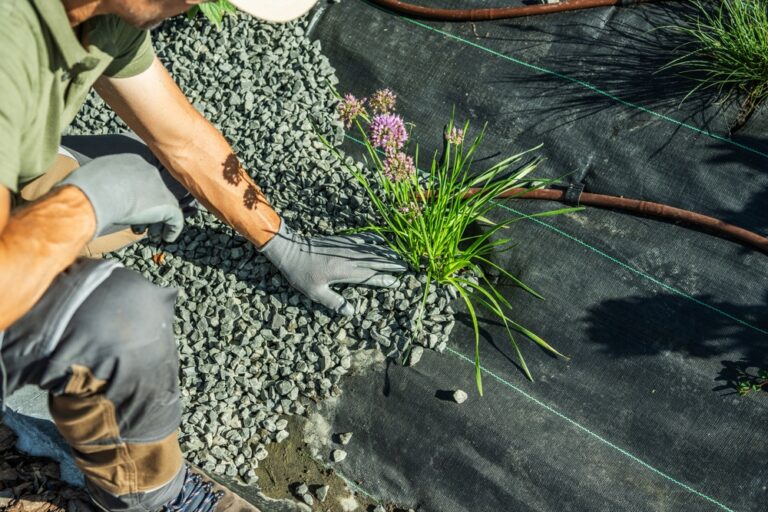 Flower being planted
